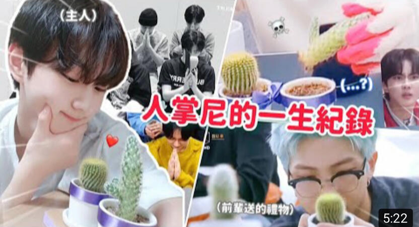 人掌尼的一生紀錄🌵梁禎元的仙人掌種植小TMI